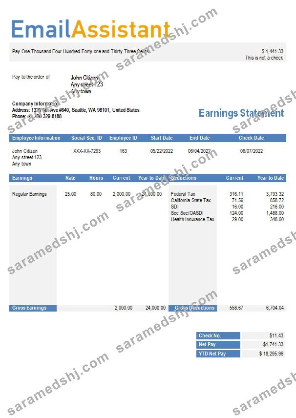 email services company earning statement in Word and PDf formats